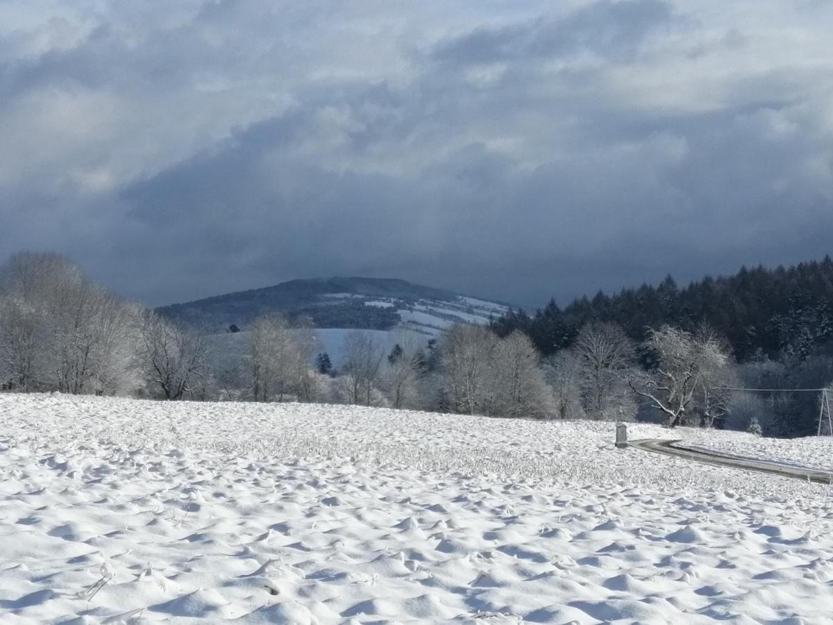 Vila Rzepedka Rzepedz Exteriér fotografie