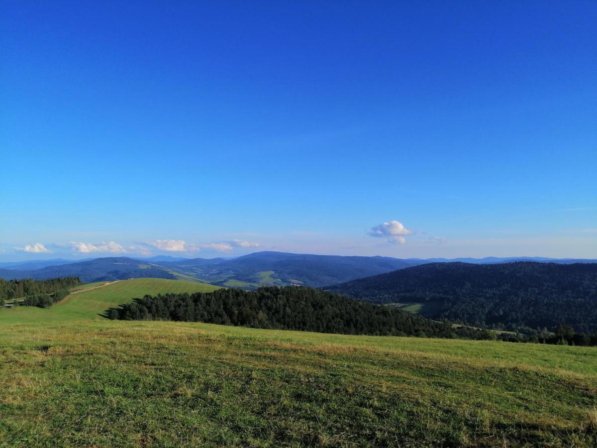 Vila Rzepedka Rzepedz Exteriér fotografie