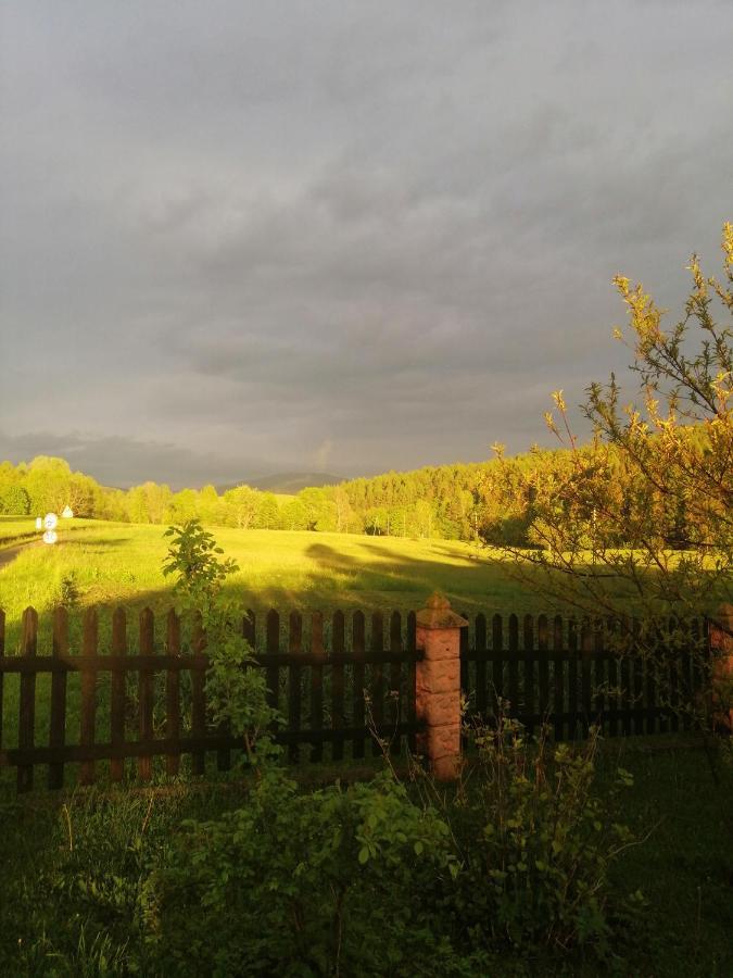 Vila Rzepedka Rzepedz Exteriér fotografie