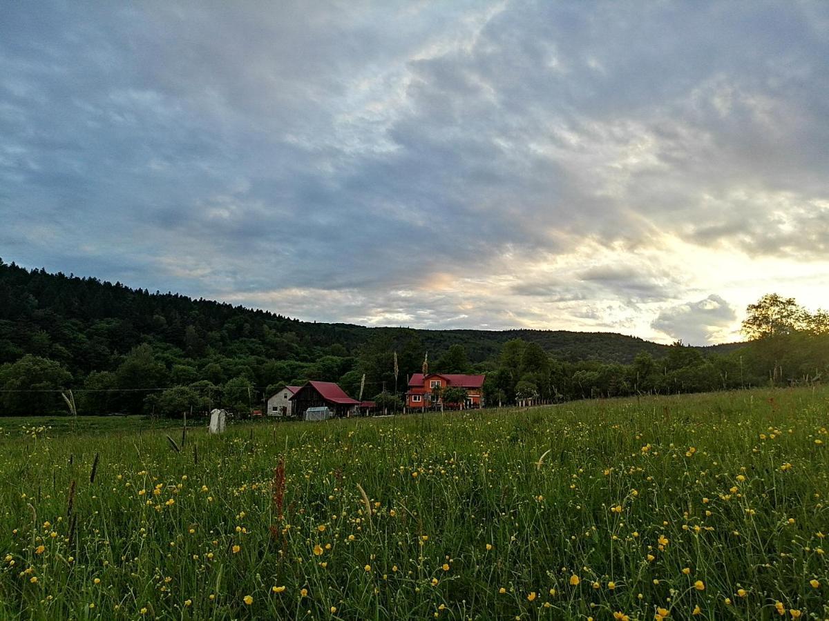 Vila Rzepedka Rzepedz Exteriér fotografie