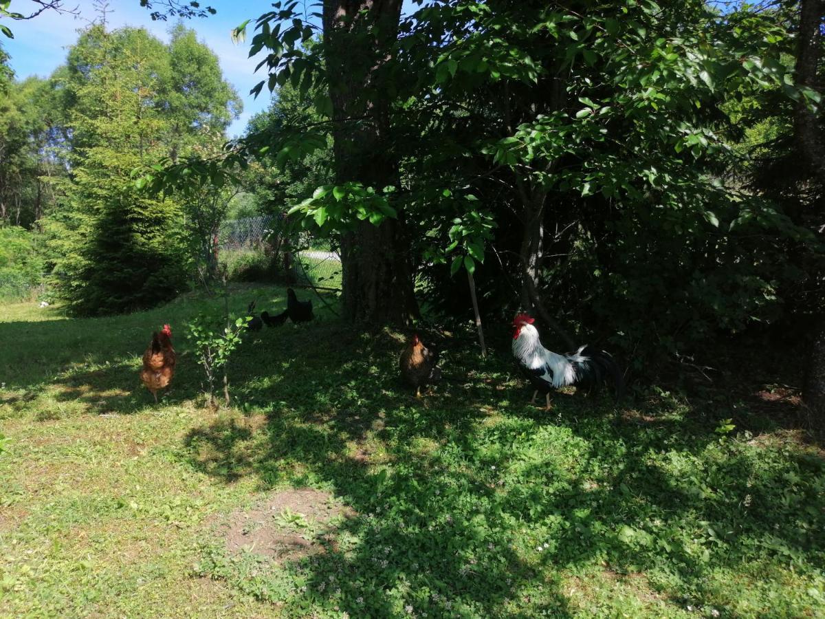 Vila Rzepedka Rzepedz Exteriér fotografie