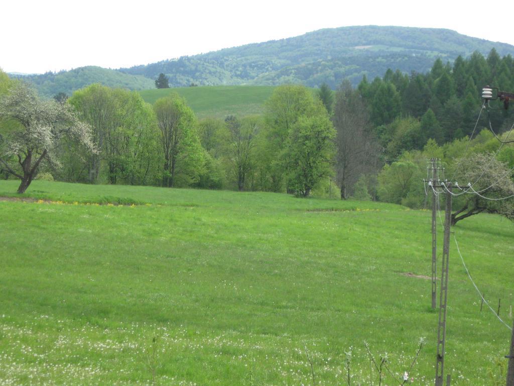 Vila Rzepedka Rzepedz Exteriér fotografie