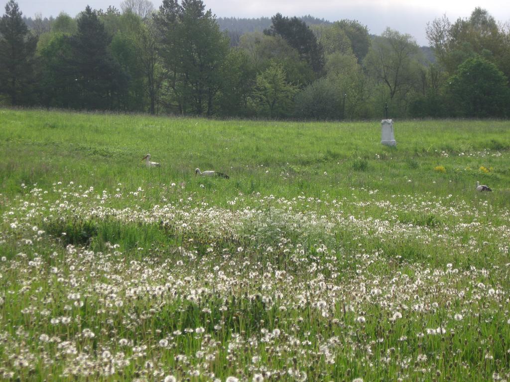 Vila Rzepedka Rzepedz Exteriér fotografie