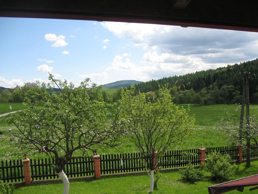 Vila Rzepedka Rzepedz Exteriér fotografie