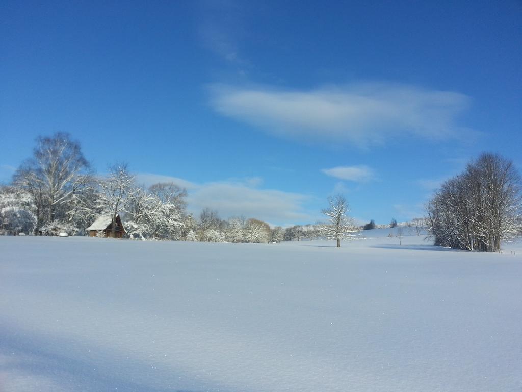 Vila Rzepedka Rzepedz Exteriér fotografie
